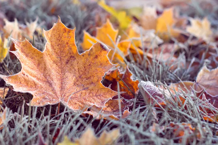 12 неожиданных вещей, которые могут спровоцировать инфаркт