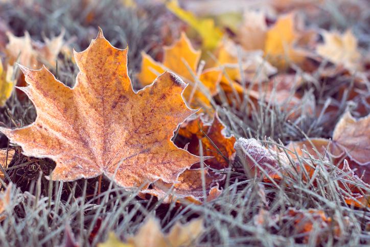 12 Unexpected Things That Can Trigger a Heart Attack