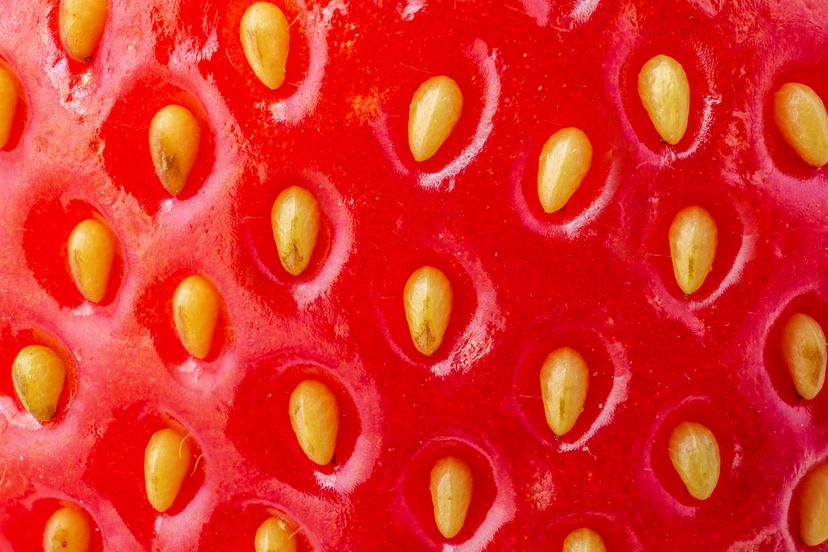 Skin Rashes: What’s the Cause?