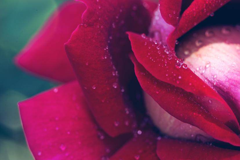 Как интимная пластика может улучшить жизнь женщины?