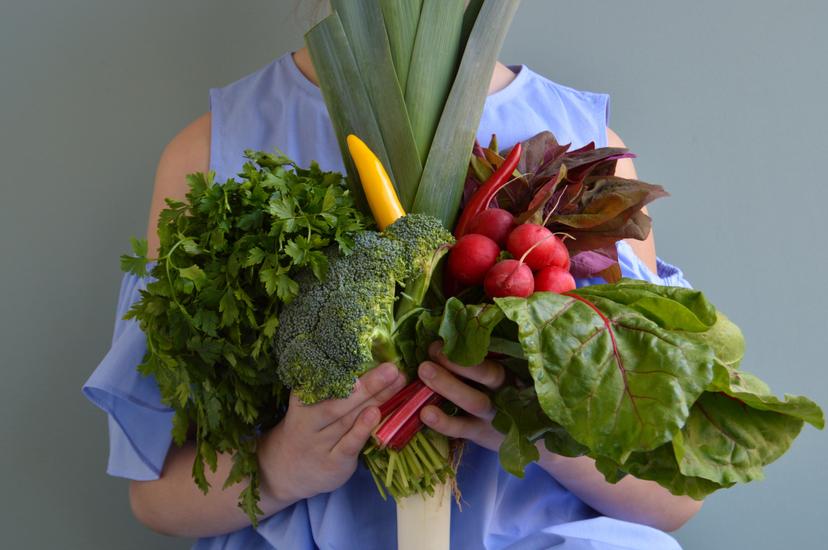 Medical Tests Every Vegetarian Should Undergo Regularly