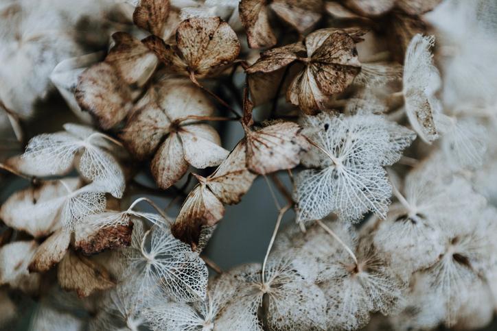 Depression: Myths and Facts