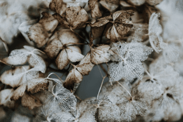 Депрессия: мифы и факты