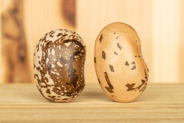 Пора проверить почки: 9 тревожных симптомов