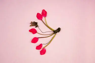 Рак молочной железы — как снизить риски?