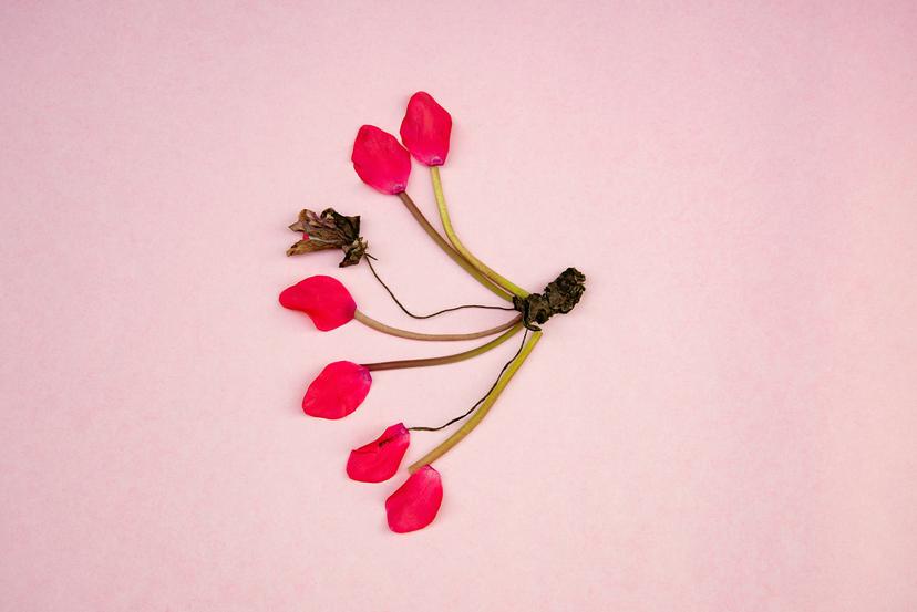 How Can Breast Cancer Risks Be Reduced?