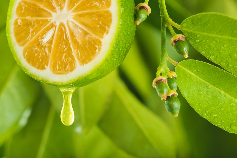 О чем говорят выделения из сосков?