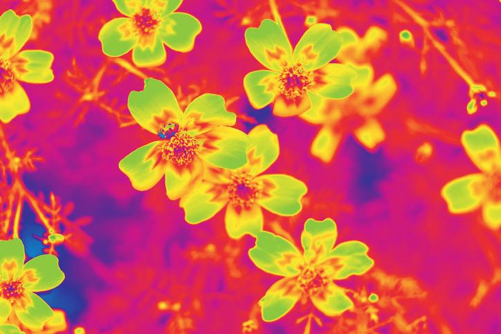 Температура 37: вы больны или здоровы?