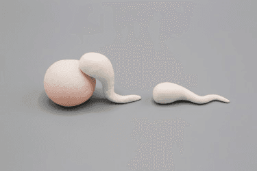 6 главных причин мужского бесплодия