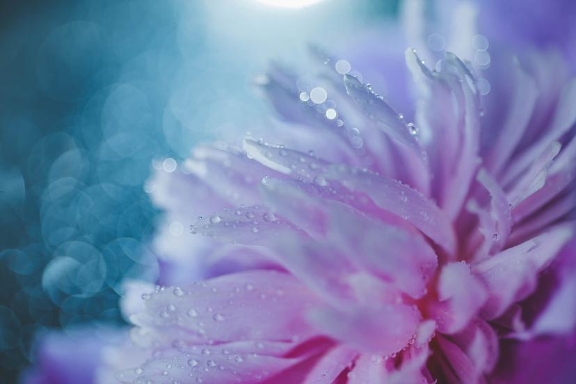 Как правильно пользоваться дезодорантом?