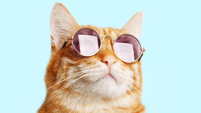 Солнечные очки: 8 правил выбора и использования