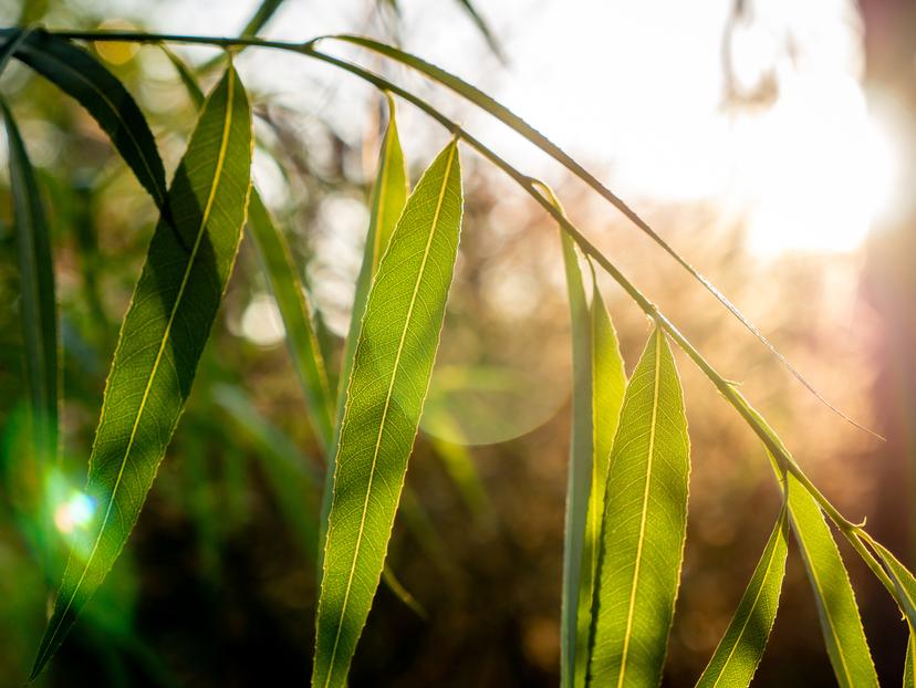 Похудели без причины? Так не бывает!