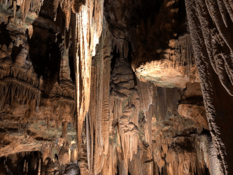 Подагра: болезнь сытых