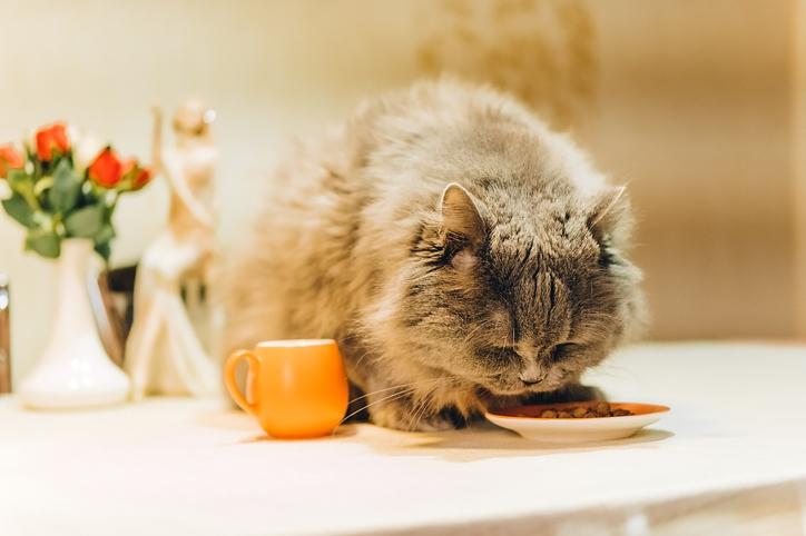 What Tests Should You Take if You Can’t Lose Weight?