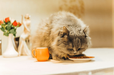 Какие анализы надо сдать, если не получается похудеть?