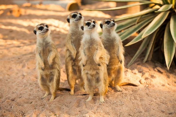 Сколиоз: как действовать?