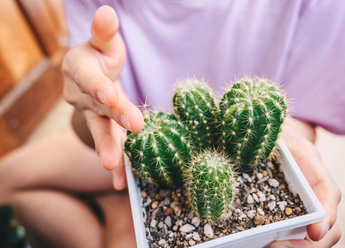 Examining Myths About Gastritis