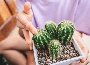 Мифы о гастрите, которым не стоит верить