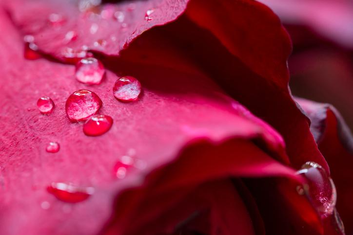 Опасно ли быть донором?