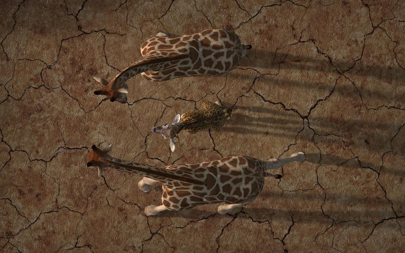 Читаем по родинкам: когда начинать беспокоиться?