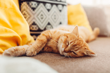 Постоянная усталость: 10 причин, о которых вы не задумывались