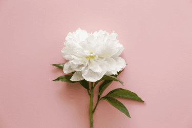 10 интимных правил сохранения здоровья влагалища