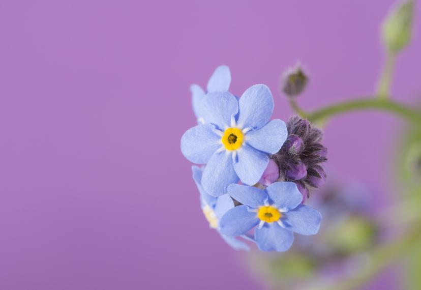 What Causes Forgetfulness?