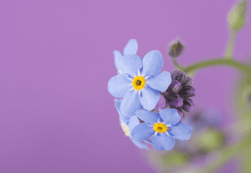 Почему мы все забываем?