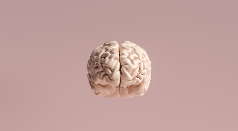 Do Nerve Cells Recover?