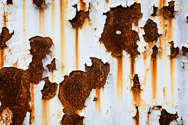 8 главных мифов об анемии