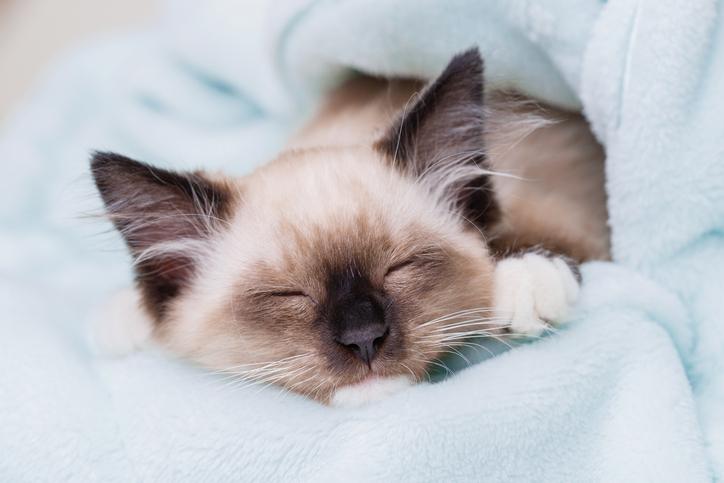 How Often Should Bedding Be Changed?